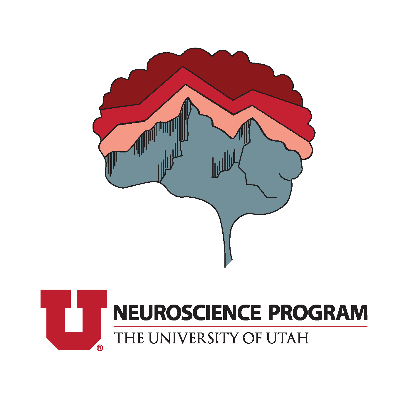 neurologo